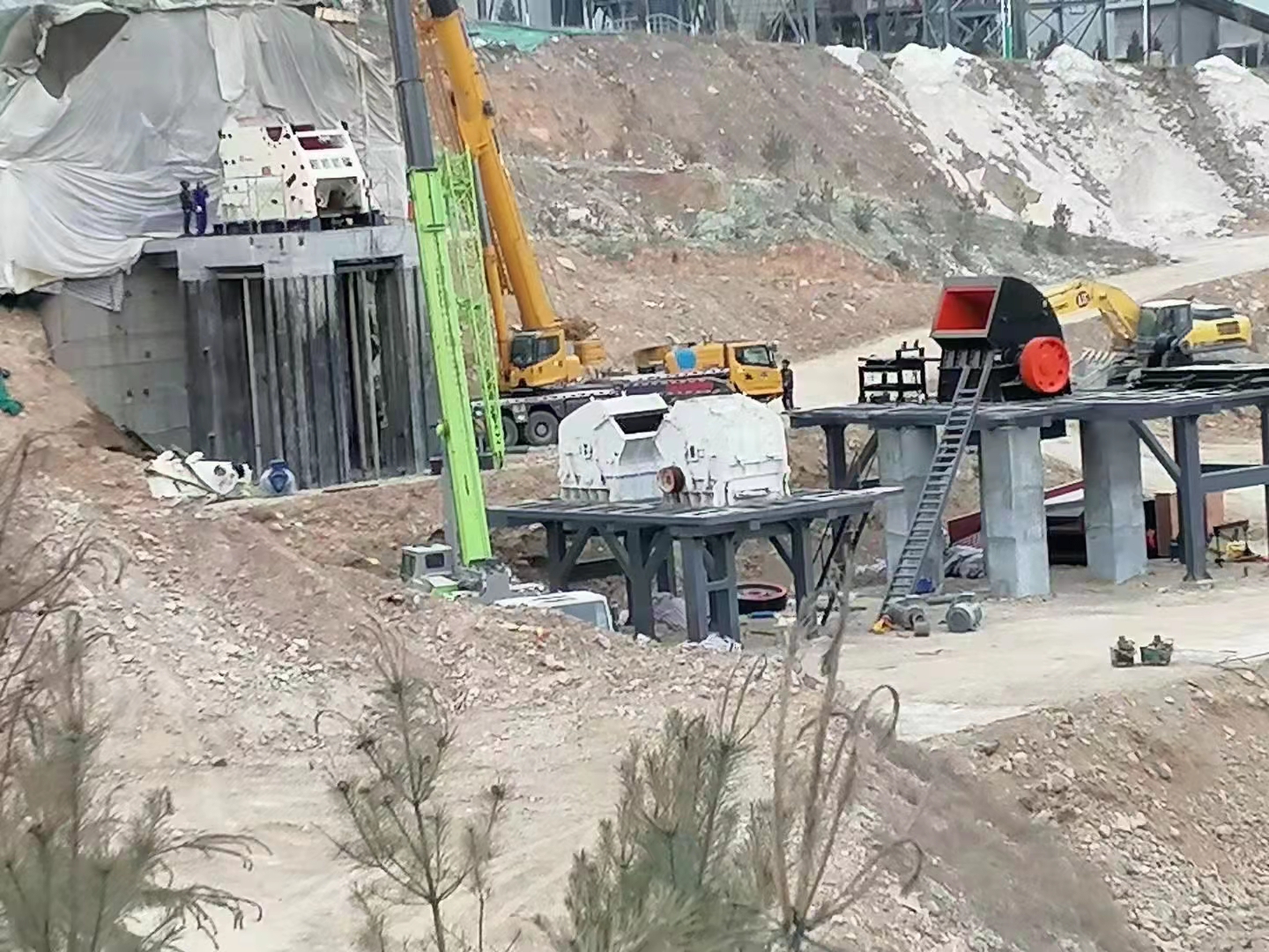 1640445537209045.jpg